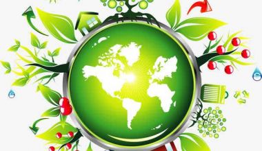 杭州试点智能垃圾分类，扫码分类垃圾即可兑奖